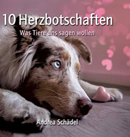 Cover von: 10 Herzbotschaften – Was Tiere uns sagen wollen von Buchautor Andrea Schädel Cover von: 10 Herzbotschaften – Was Tiere uns sagen wollen von Buchautor Andrea Schädel