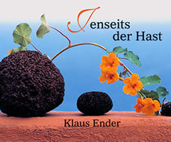Cover von: Jenseits der Hast von Buchautor Klaus Ender